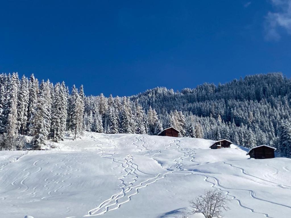 Villa Zillertaler Sennhuette Hart im Zillertal Esterno foto